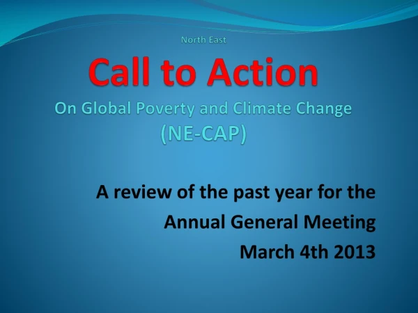 North East  Call to Action  On Global Poverty and Climate Change  (NE-CAP)
