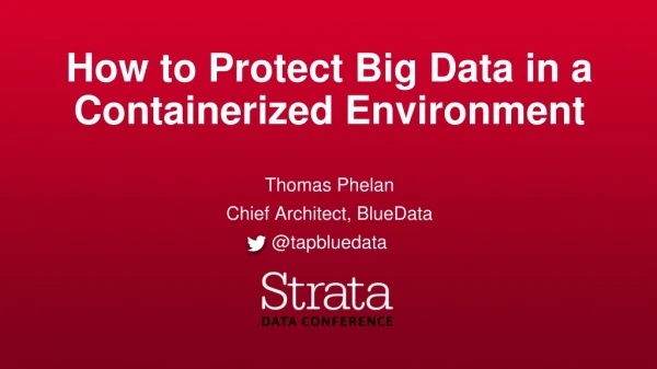 How to Protect Big Data in a  Containerized Environment