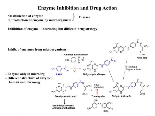 Enzyme Inhibition and Drug Action