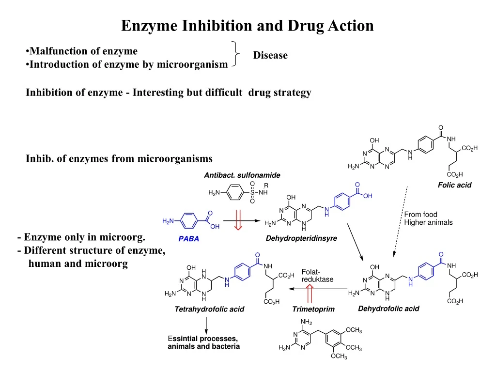 enzyme inhibition and drug action