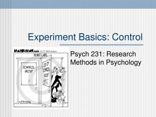 Experiment Basics: Control - slide 1