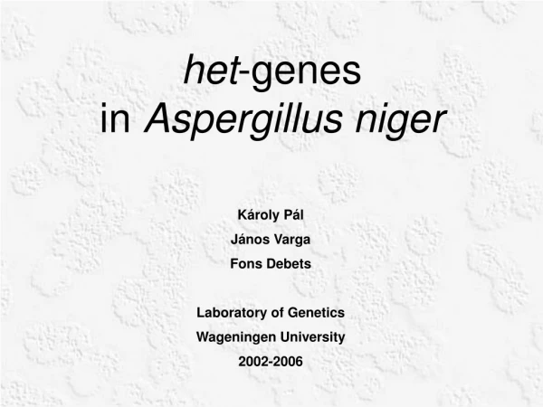 het -genes                  in Aspergillus niger
