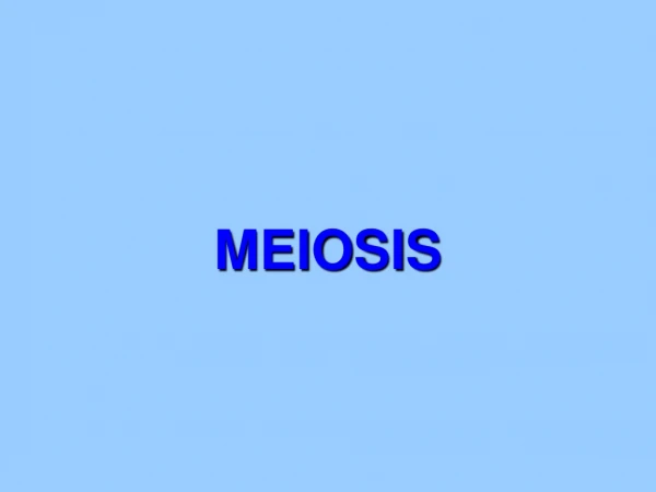 MEIOSIS