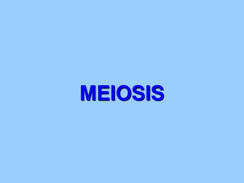 meiosis