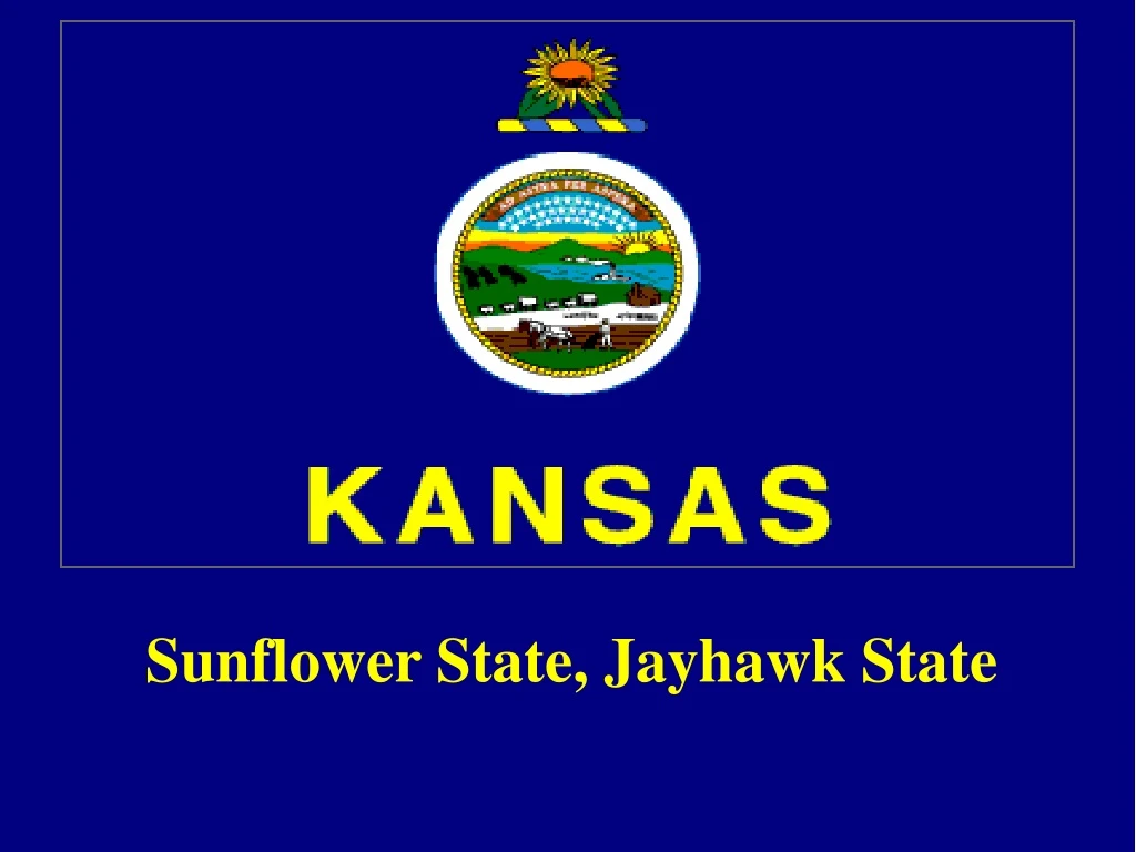 sunflower state jayhawk state