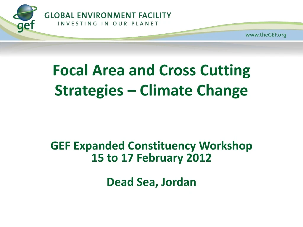 focal area and cross cutting strategies climate change