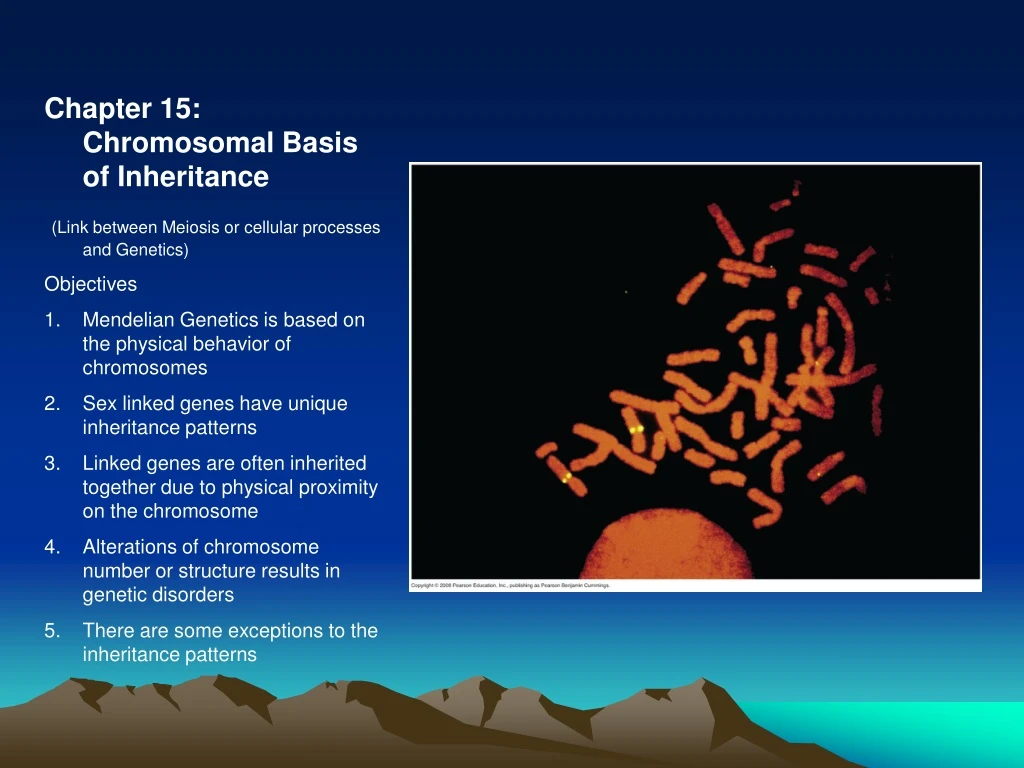 chapter 15 chromosomal basis of inheritance link
