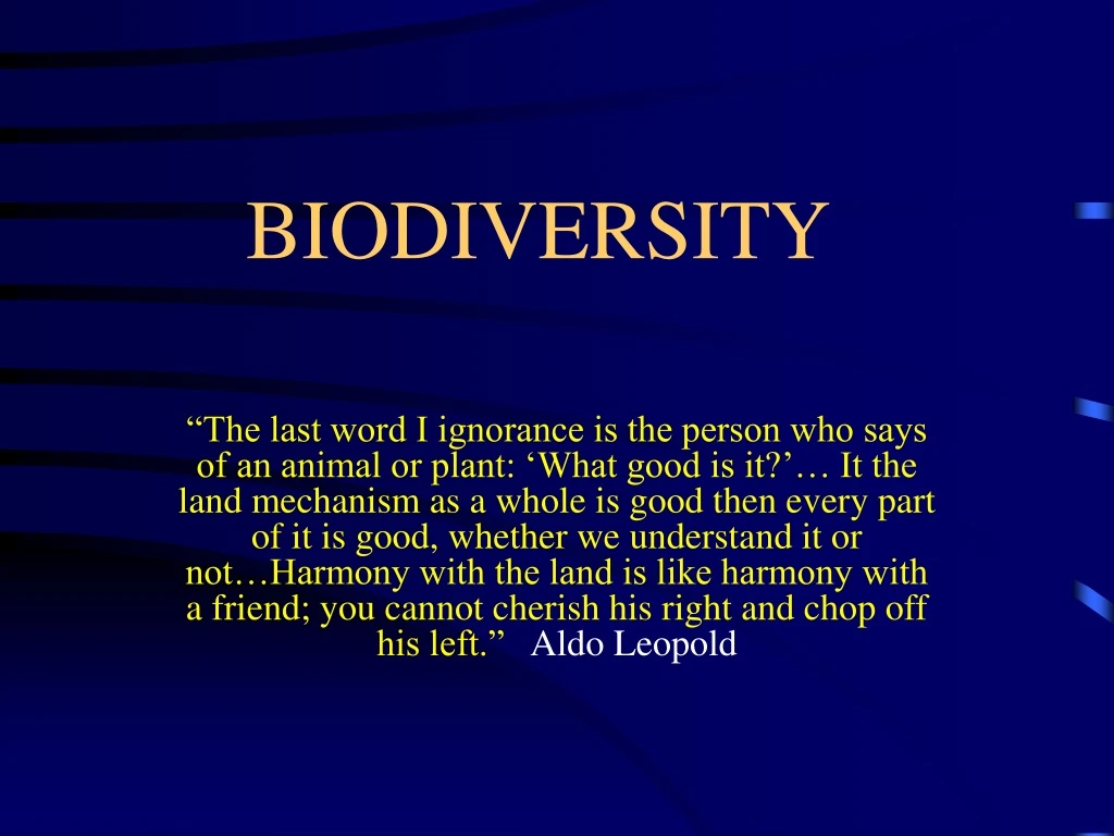 https://cdn4.slideserve.com/9241423/biodiversity-n.jpg