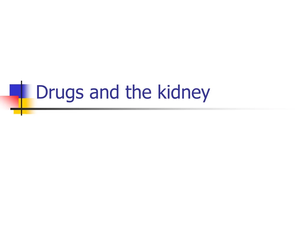 drugs and the kidney