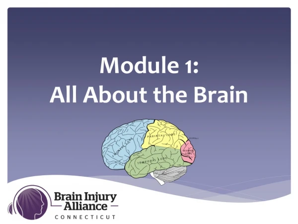Module 1: All About the Brain