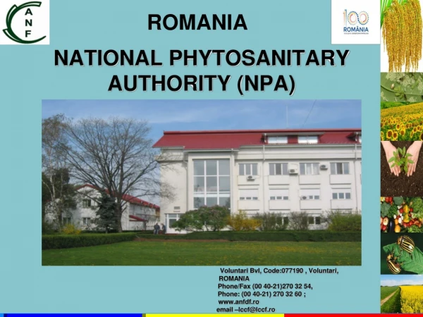 NATIONAL PHYTOSANITARY AUTHORITY (NPA)