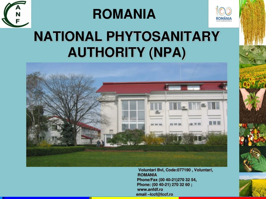 national phytosanitary authority npa