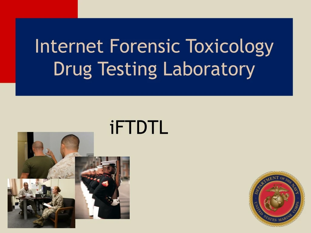 internet forensic toxicology drug testing