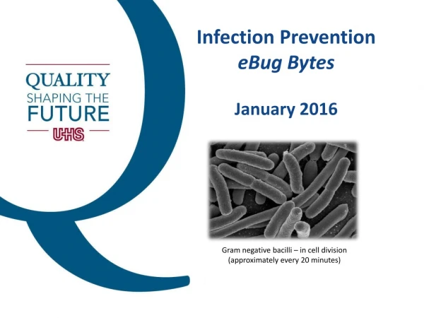 Infection Prevention eBug Bytes January 2016