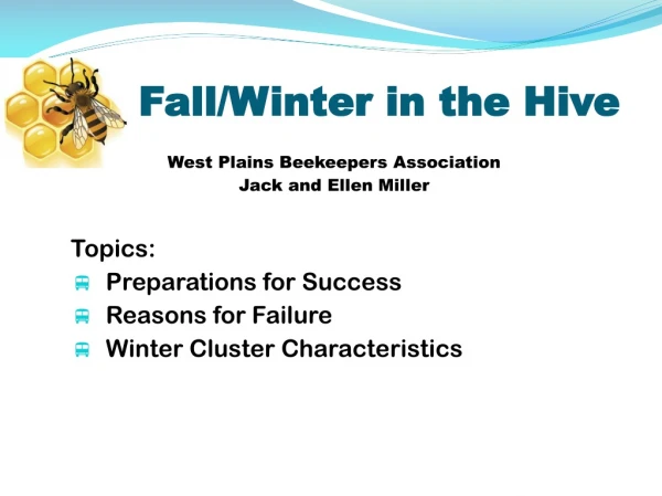 Fall/Winter in the Hive