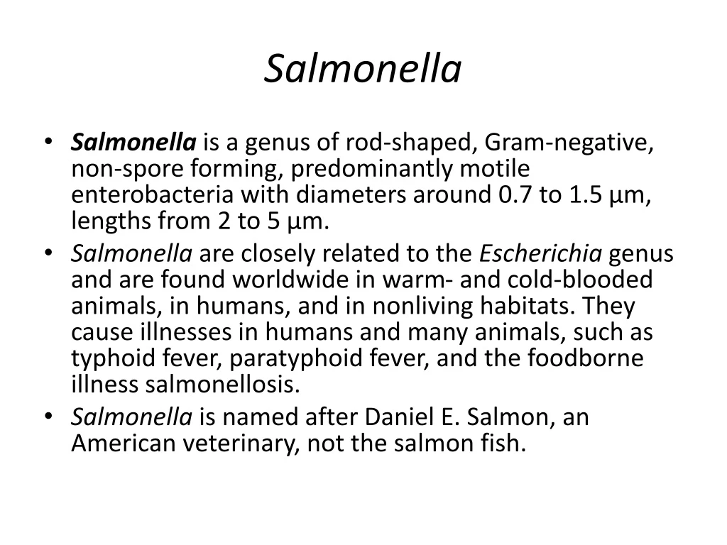 salmonella