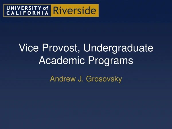 Vice Provost, Undergraduate Academic Programs