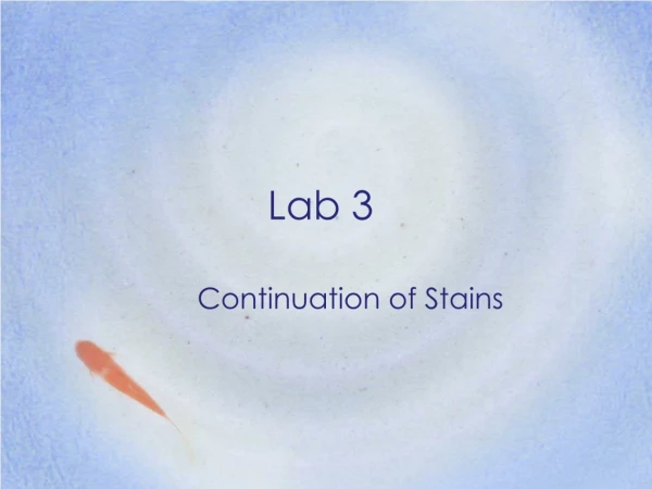 Lab 3