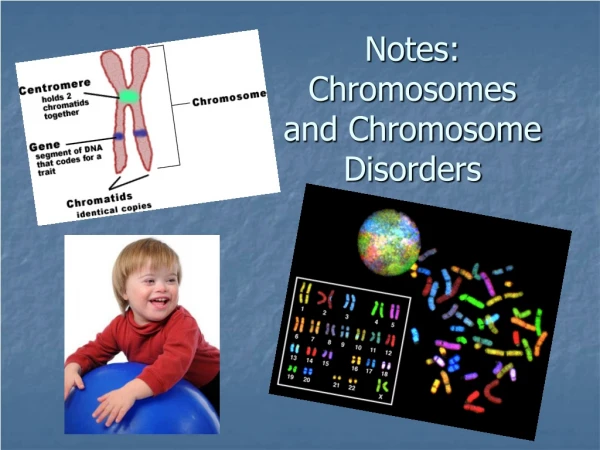 Notes:  Chromosomes and Chromosome Disorders