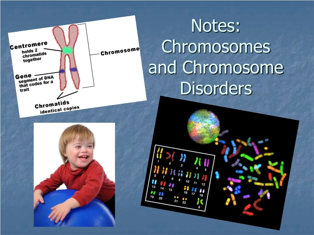 notes chromosomes and chromosome disorders