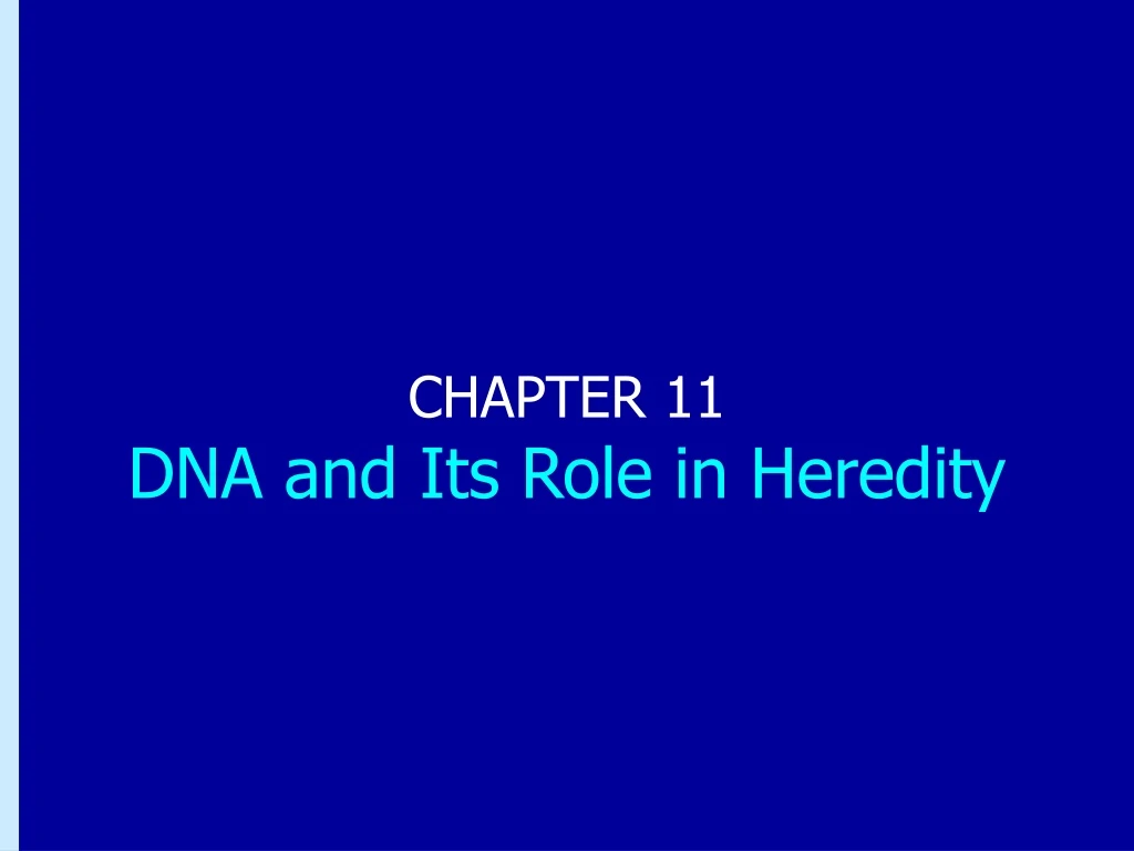 chapter 11 dna and its role in heredity