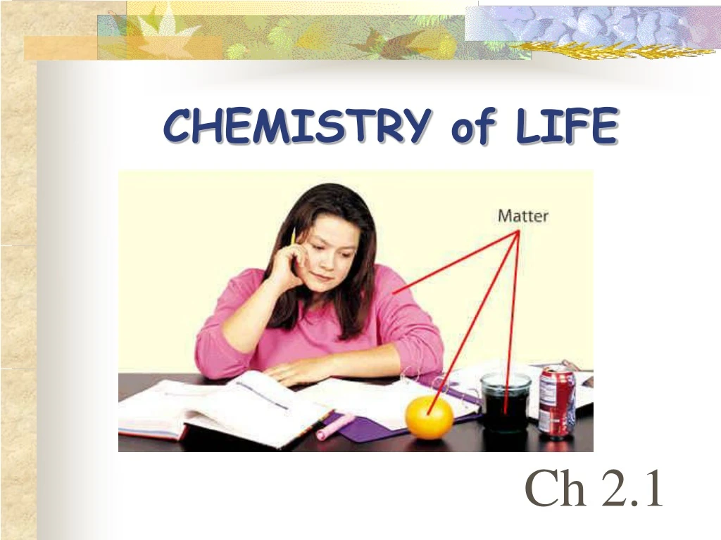 chemistry of life