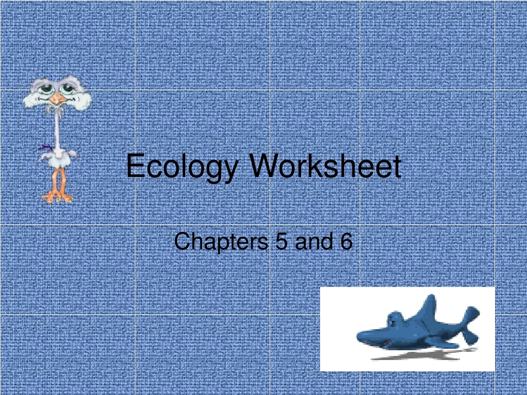 ecology worksheet