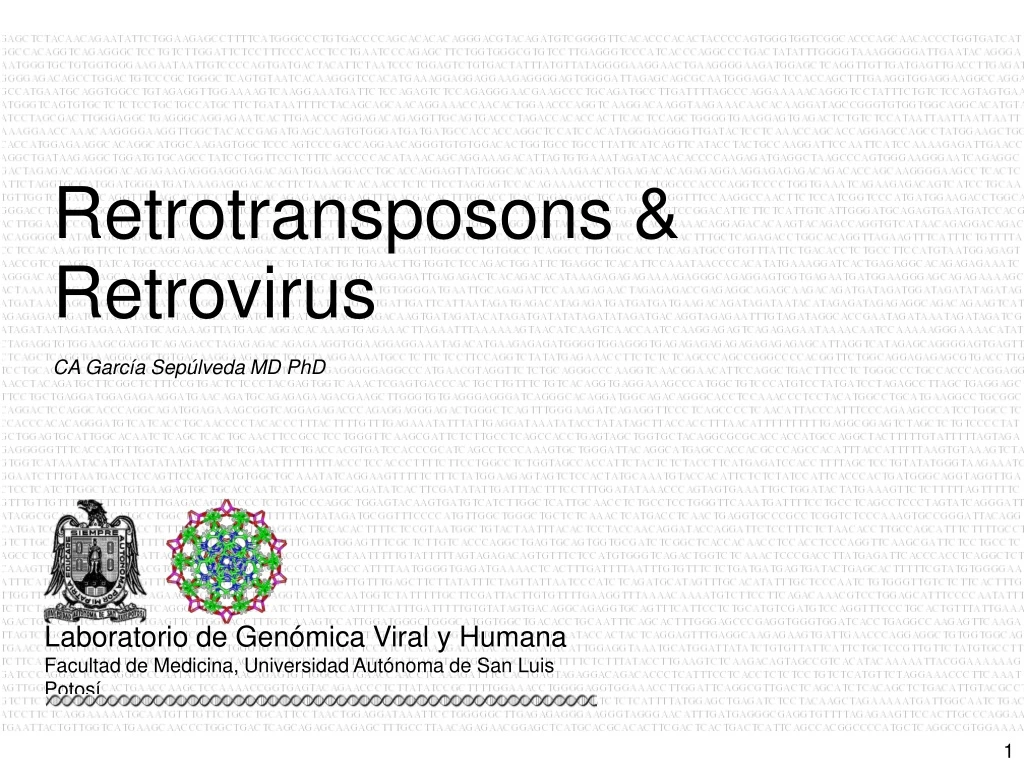 retrotransposons retrovirus