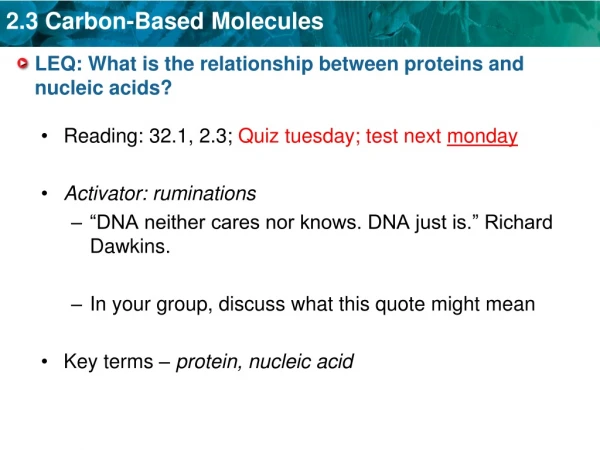 LEQ: What is the relationship between proteins and nucleic acids?