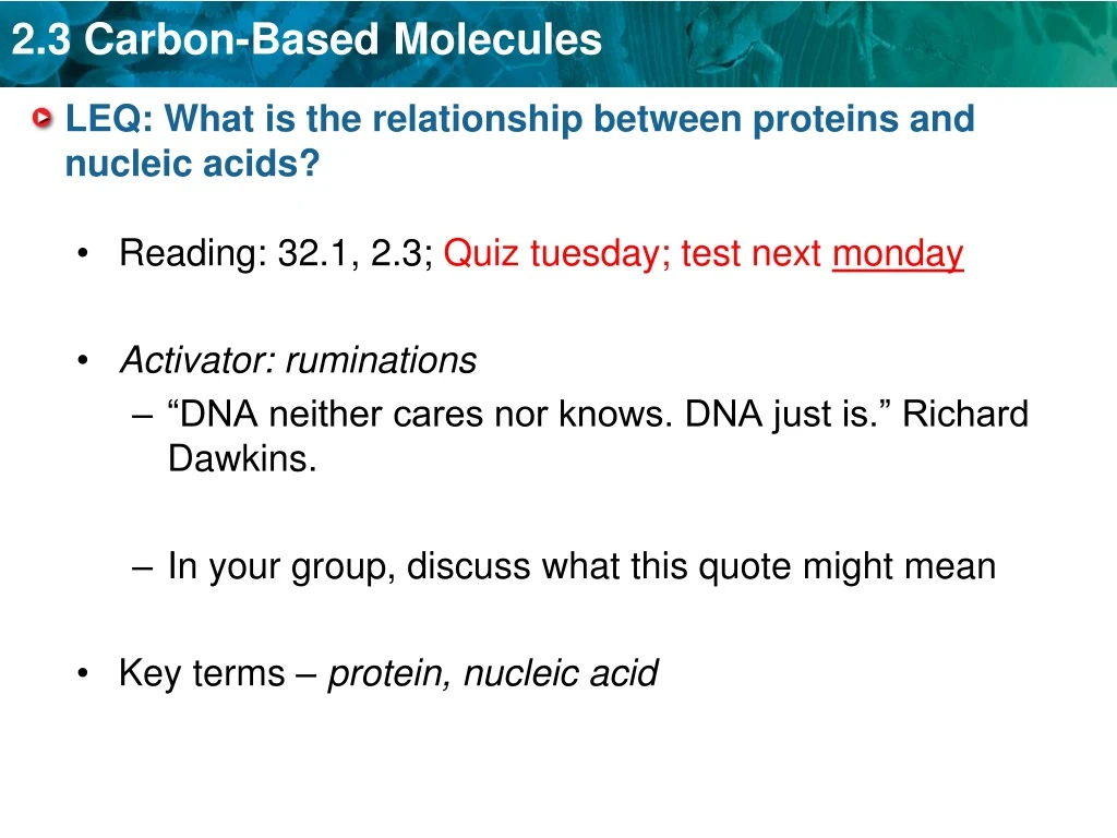 leq what is the relationship between proteins and nucleic acids