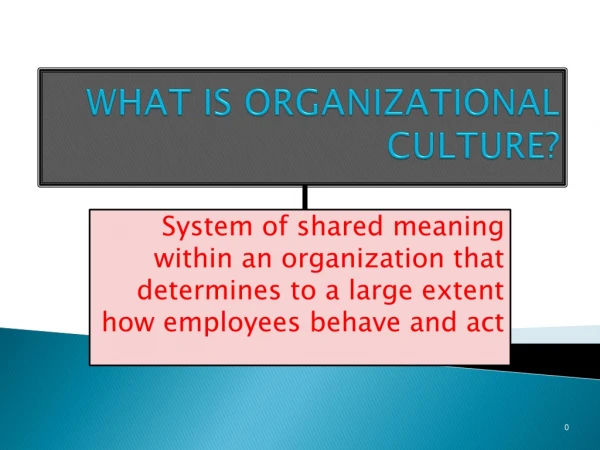 WHAT IS ORGANIZATIONAL CULTURE?