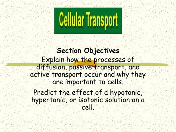 Section Objectives