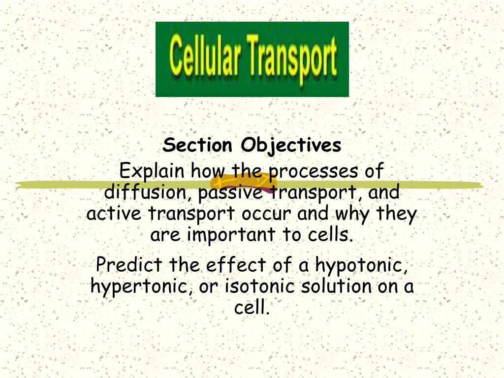 section objectives explain how the processes