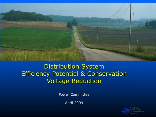 Distribution System Efficiency Potential &amp; Conservation  Voltage Reduction
