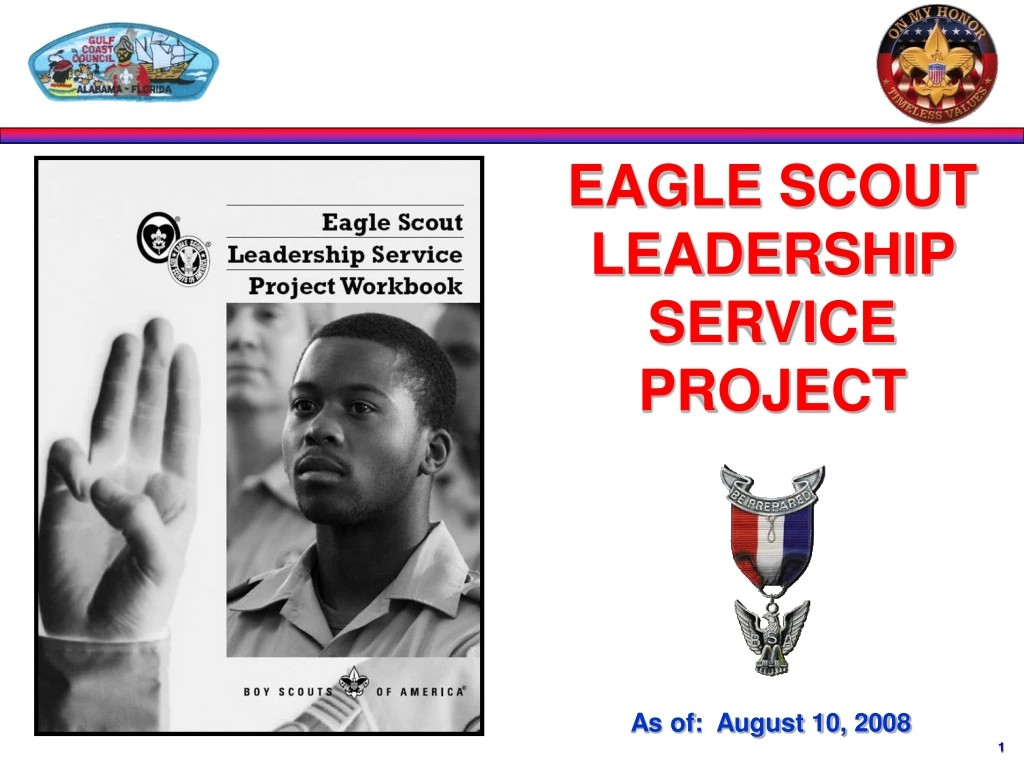 eagle scout leadership service project