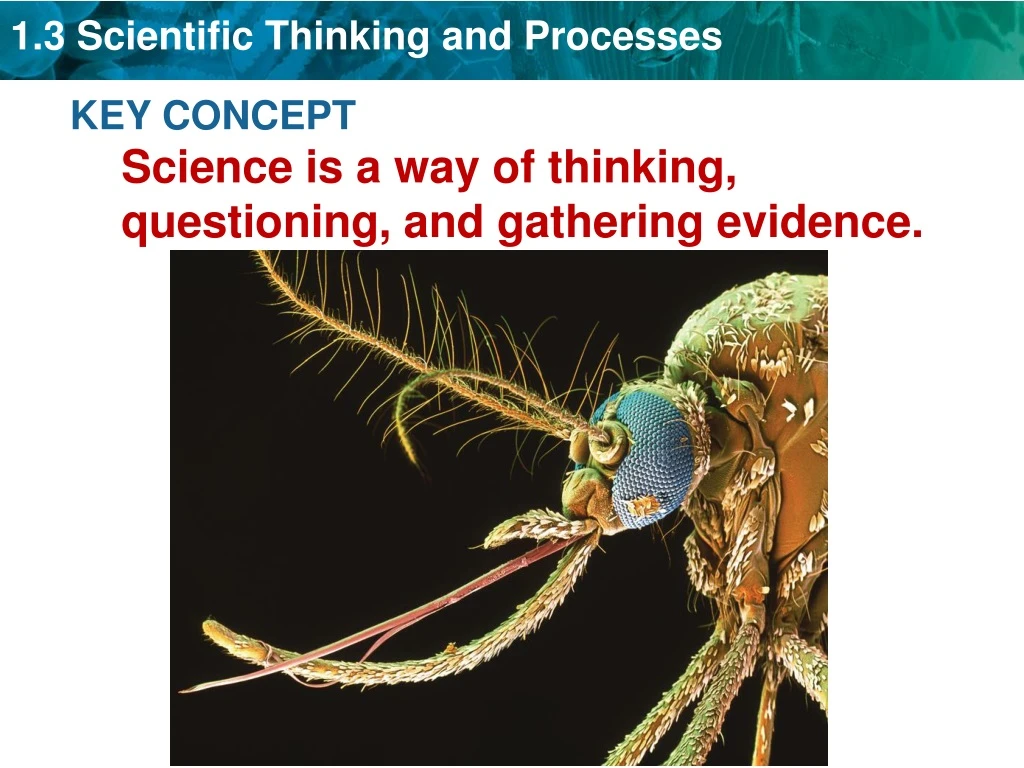 key concept science is a way of thinking