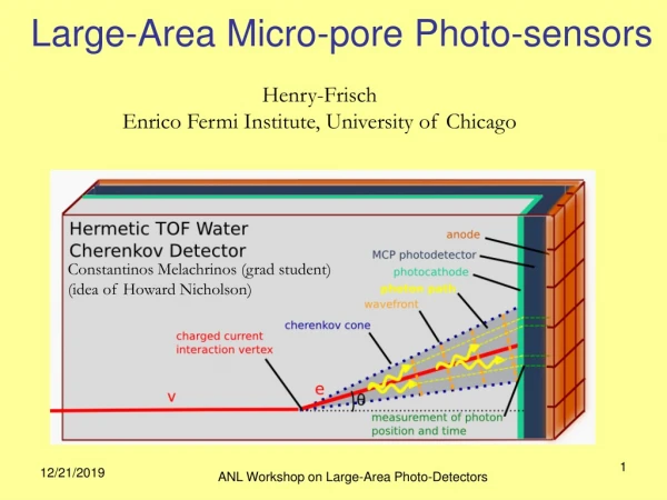 Large-Area Micro-pore Photo-sensors