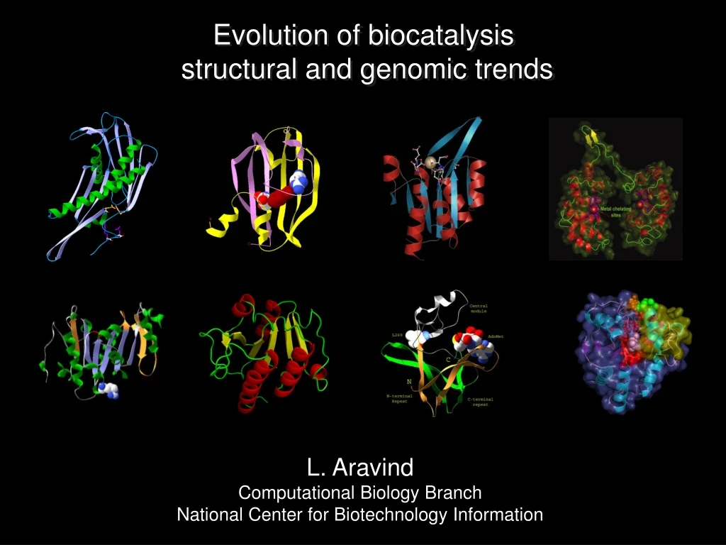 evolution of biocatalysis structural and genomic