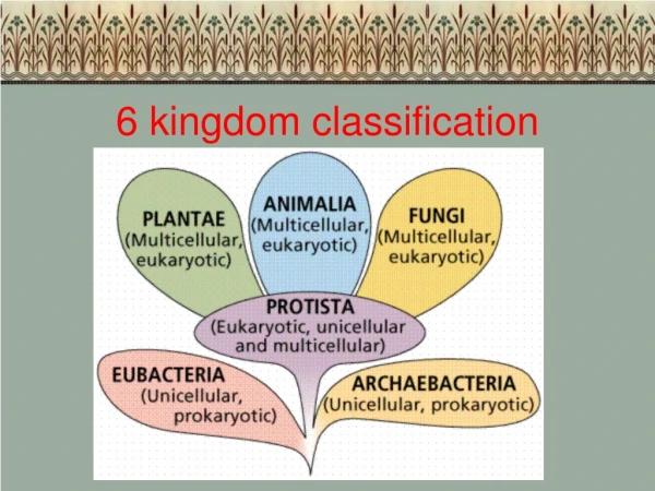 6 kingdom classification