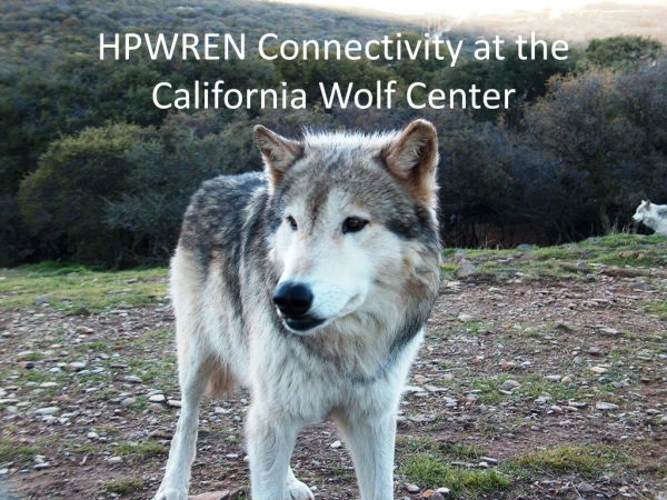 HPWREN Connectivity at the California Wolf Center