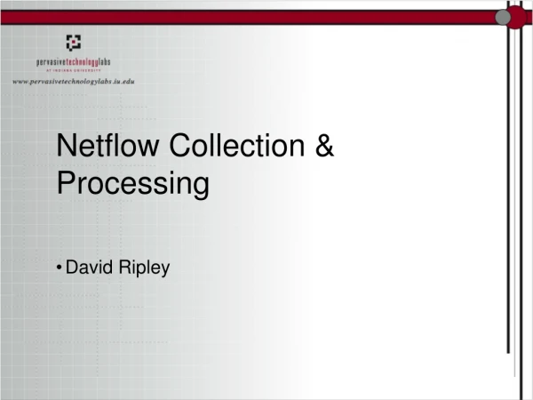 Netflow Collection &amp; Processing
