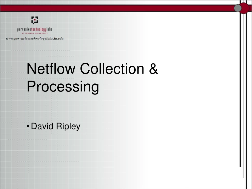 netflow collection processing