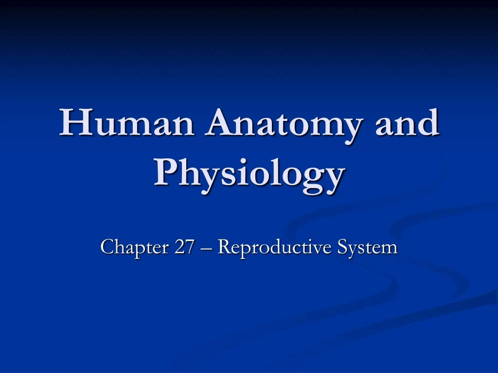 human anatomy and physiology