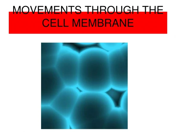 MOVEMENTS THROUGH THE CELL MEMBRANE