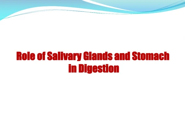 Role of Salivary Glands and Stomach  in Digestion
