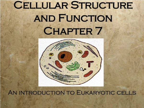 Cellular Structure and Function Chapter 7