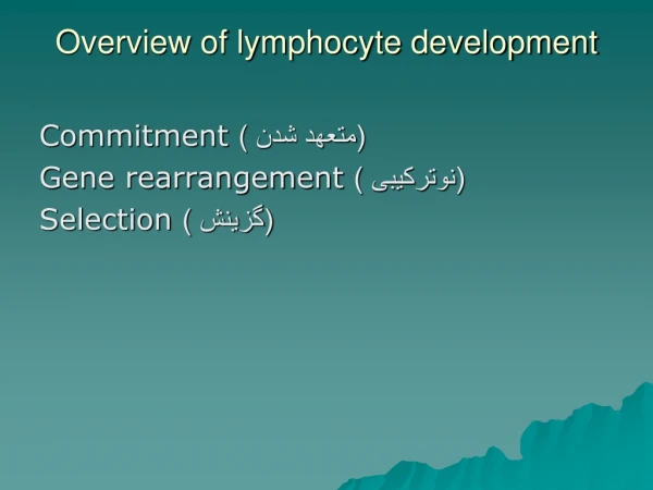Overview of lymphocyte development
