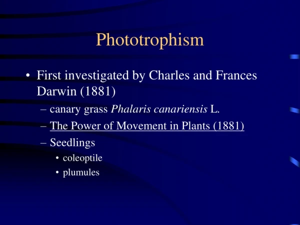 Phototrophism