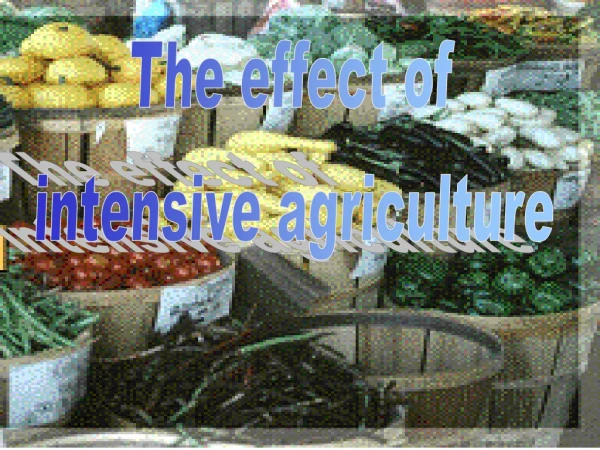 The effect of  intensive agriculture