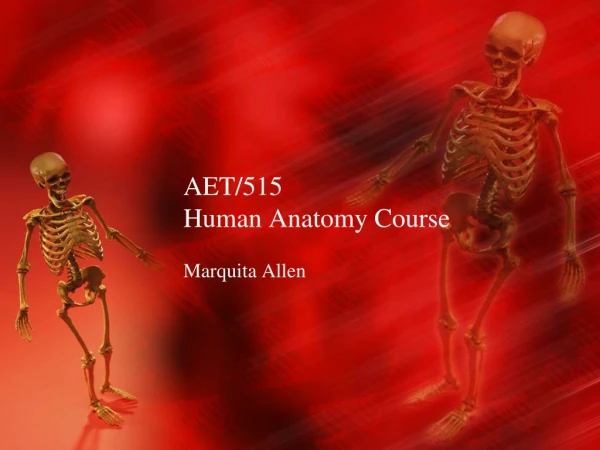 AET/515 Human Anatomy Course